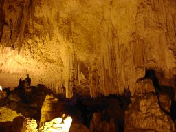 bild 164
